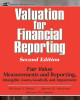 Ebook Valuation for financial reporting: The determination of fair value for audited intangible assets
