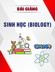 Bài Giảng Sinh học (Biology)